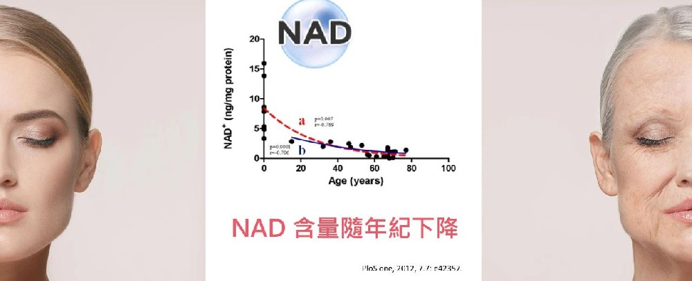 为什么说NAD+对于人体健康很重要？